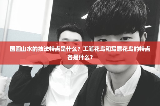 国画山水的技法特点是什么？工笔花鸟和写意花鸟的特点各是什么？