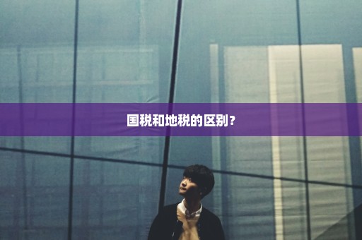 国税和地税的区别？