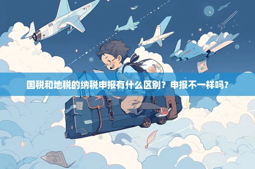 国税和地税的纳税申报有什么区别？申报不一样吗？