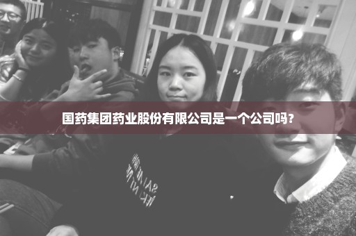 国药集团药业股份有限公司是一个公司吗？