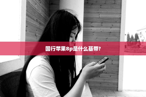 国行苹果8p是什么基带?