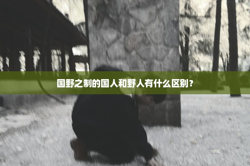 国野之制的国人和野人有什么区别？