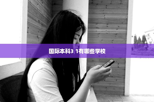 国际本科3+1有哪些学校