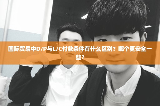 国际贸易中D/P与L/C付款条件有什么区别？哪个更安全一些？