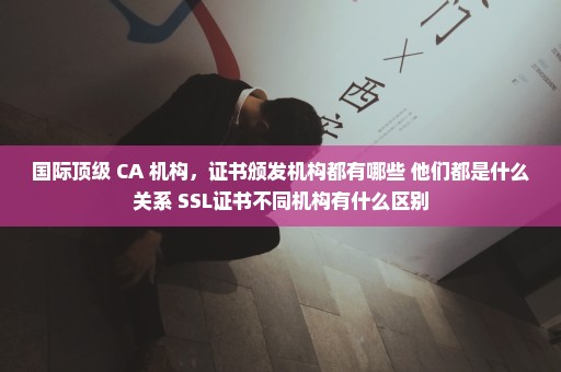 国际顶级 CA 机构，证书颁发机构都有哪些 他们都是什么关系 SSL证书不同机构有什么区别