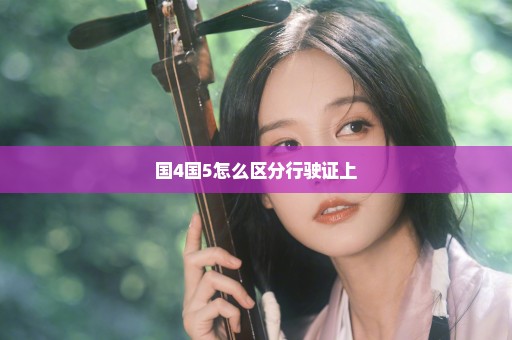 国4国5怎么区分行驶证上
