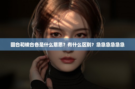 圆台和棱台各是什么意思？有什么区别？急急急急急急