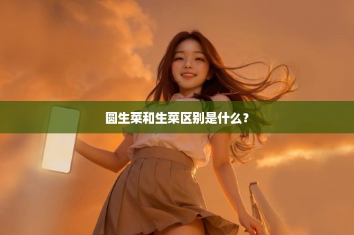 圆生菜和生菜区别是什么？