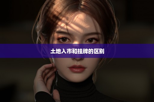 土地入市和挂牌的区别