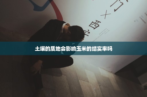 土壤的质地会影响玉米的结实率吗