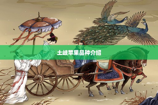 土岐苹果品种介绍