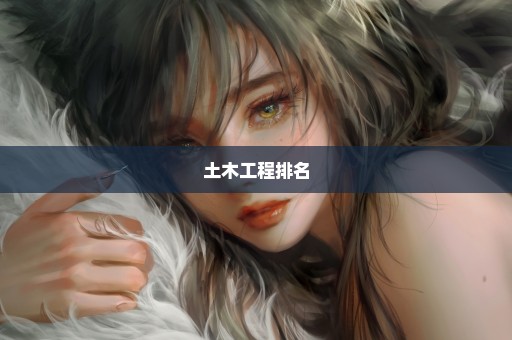 土木工程排名