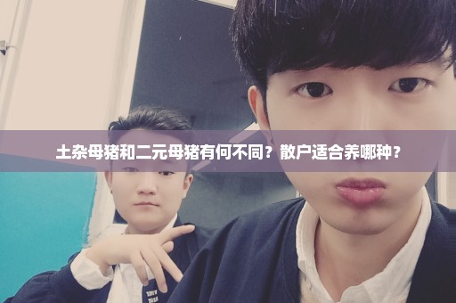 土杂母猪和二元母猪有何不同？散户适合养哪种？