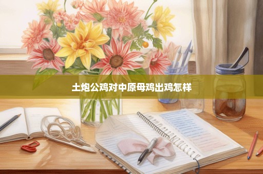 土炮公鸡对中原母鸡出鸡怎样