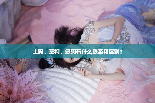 土狗、草狗、笨狗有什么联系和区别？