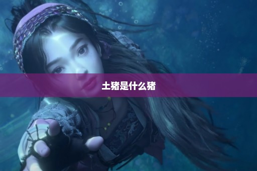 土猪是什么猪