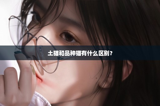 土猫和品种猫有什么区别？