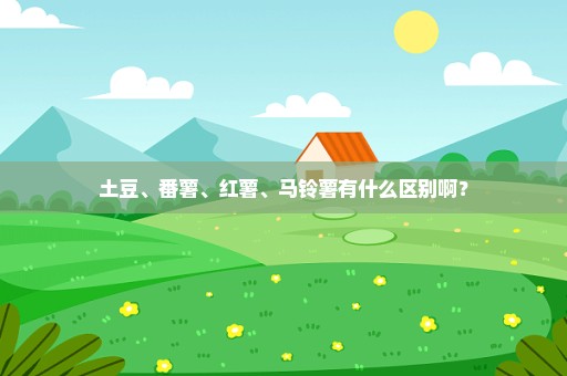 土豆、番薯、红薯、马铃薯有什么区别啊？