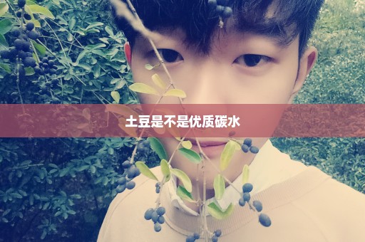 土豆是不是优质碳水