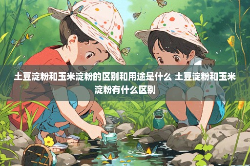 土豆淀粉和玉米淀粉的区别和用途是什么 土豆淀粉和玉米淀粉有什么区别