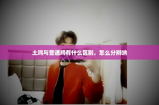 土鸡与普通鸡有什么区别，怎么分辨呐