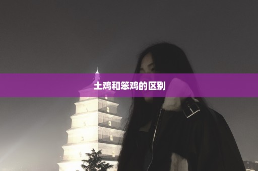 土鸡和笨鸡的区别