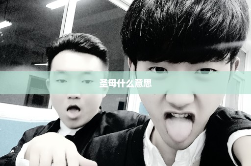 圣母什么意思