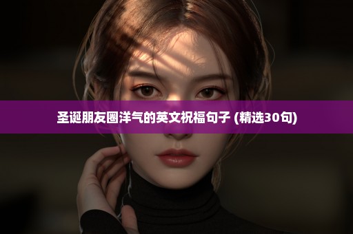 圣诞朋友圈洋气的英文祝福句子 (精选30句)