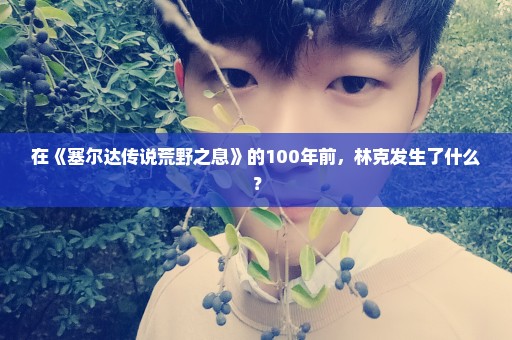 在《塞尔达传说荒野之息》的100年前，林克发生了什么？