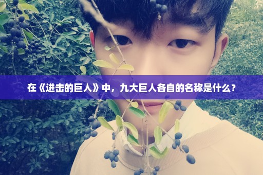 在《进击的巨人》中，九大巨人各自的名称是什么？
