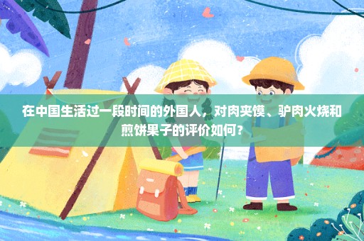 在中国生活过一段时间的外国人，对肉夹馍、驴肉火烧和煎饼果子的评价如何？