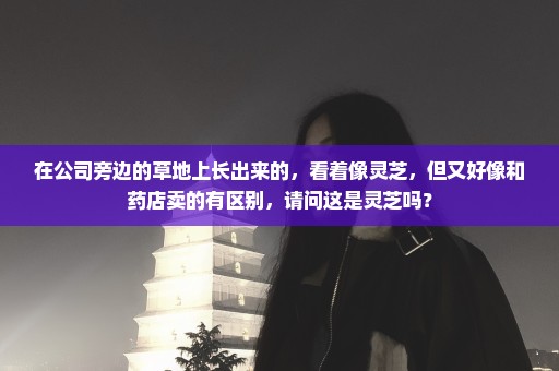在公司旁边的草地上长出来的，看着像灵芝，但又好像和药店卖的有区别，请问这是灵芝吗？