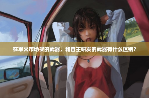 在军火市场买的武器，和自主研发的武器有什么区别？