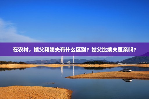 在农村，姨父和姨夫有什么区别？姑父比姨夫更亲吗？