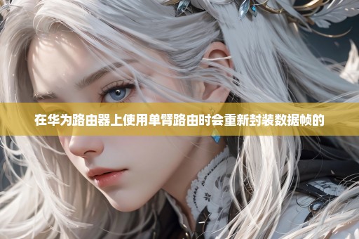 在华为路由器上使用单臂路由时会重新封装数据帧的