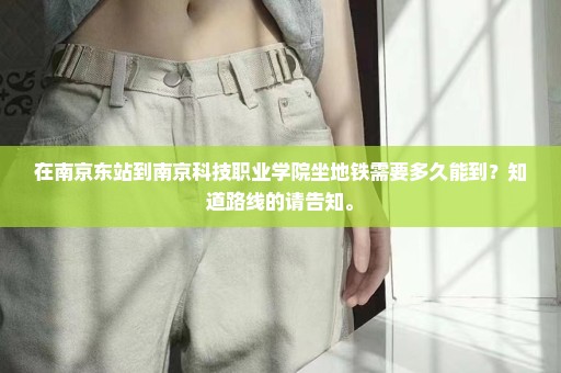 在南京东站到南京科技职业学院坐地铁需要多久能到？知道路线的请告知。