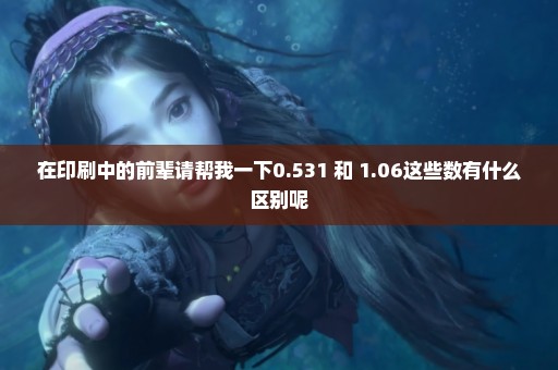 在印刷中的前辈请帮我一下0.531 和 1.06这些数有什么区别呢