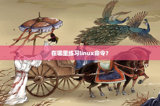 在哪里练习linux命令？