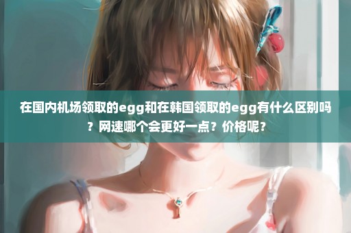 在国内机场领取的egg和在韩国领取的egg有什么区别吗？网速哪个会更好一点？价格呢？
