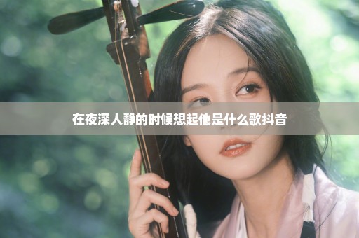 在夜深人静的时候想起他是什么歌抖音