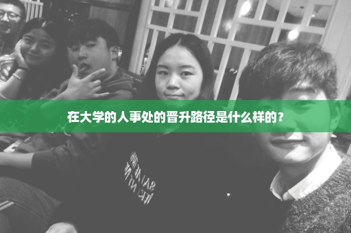 在大学的人事处的晋升路径是什么样的？