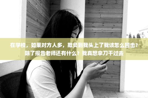 在学校，如果对方人多，欺负到我头上了我该怎么回击？除了报告老师还有什么？我真想拿刀干过去