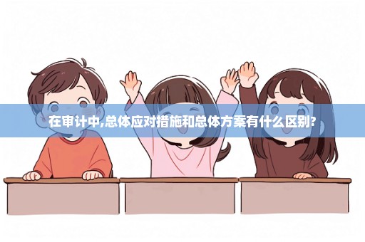 在审计中,总体应对措施和总体方案有什么区别?