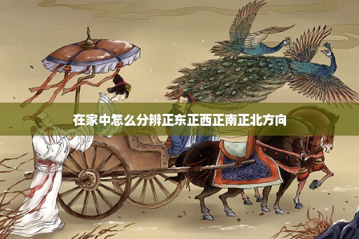 在家中怎么分辨正东正西正南正北方向