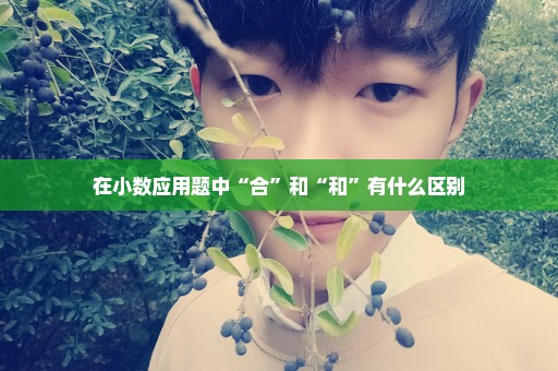 在小数应用题中“合”和“和”有什么区别