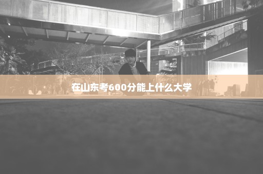在山东考600分能上什么大学