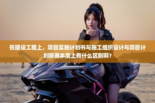 在建设工程上，项目实施计划书与施工组织设计与项目计划岗要本质上有什么区别啊？