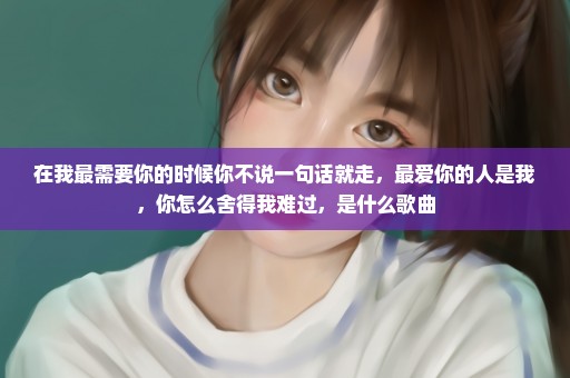 在我最需要你的时候你不说一句话就走，最爱你的人是我，你怎么舍得我难过，是什么歌曲
