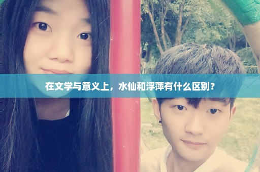 在文学与意义上，水仙和浮萍有什么区别？