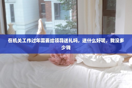 在机关工作过年需要给领导送礼吗，送什么好呢，我没多少钱